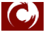 Phoenix Solutions Pvt. Ltd.